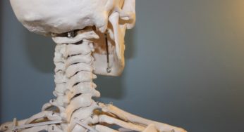 Fisioterapia per vertebre schiacciate